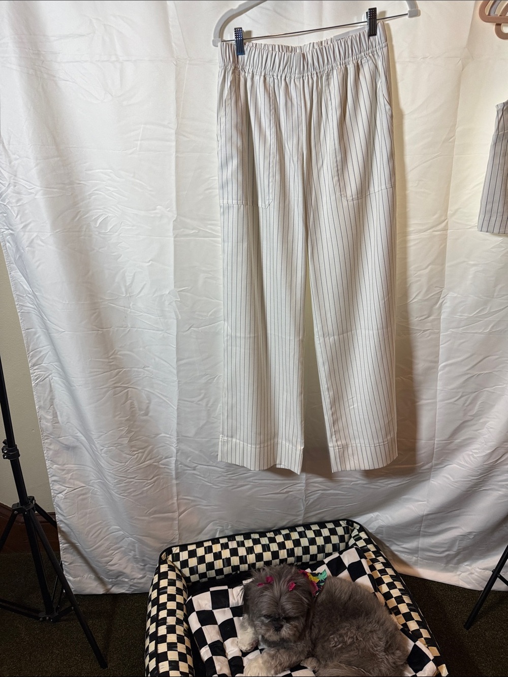 Ann Taylor Factory Cream Pinstripe Elastic-Waist Wide-Leg Pants